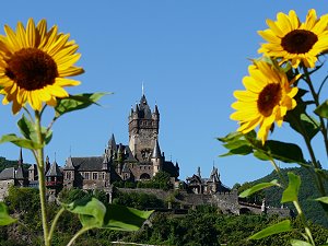 Blick auf die Reichsburg Cochem